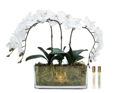 Oval Orchid Bouquet - Ivory White - OOV01 (Carton of 1)